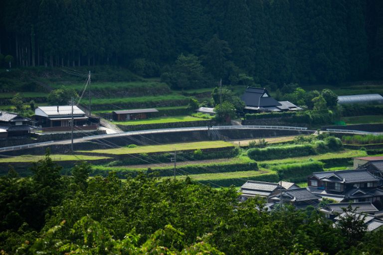 利用時の注意点