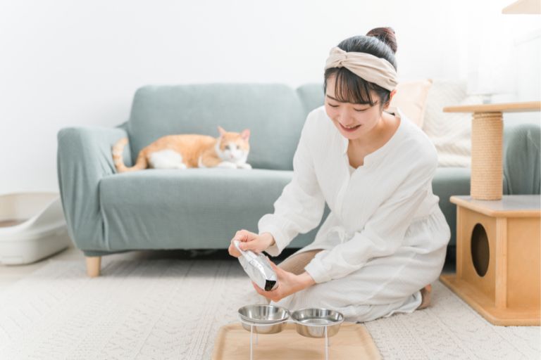 猫の飼育費用を抑えるコツ