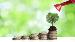 外貨建て保険をやってはいけない理由とは?為替リスクから考える注意点